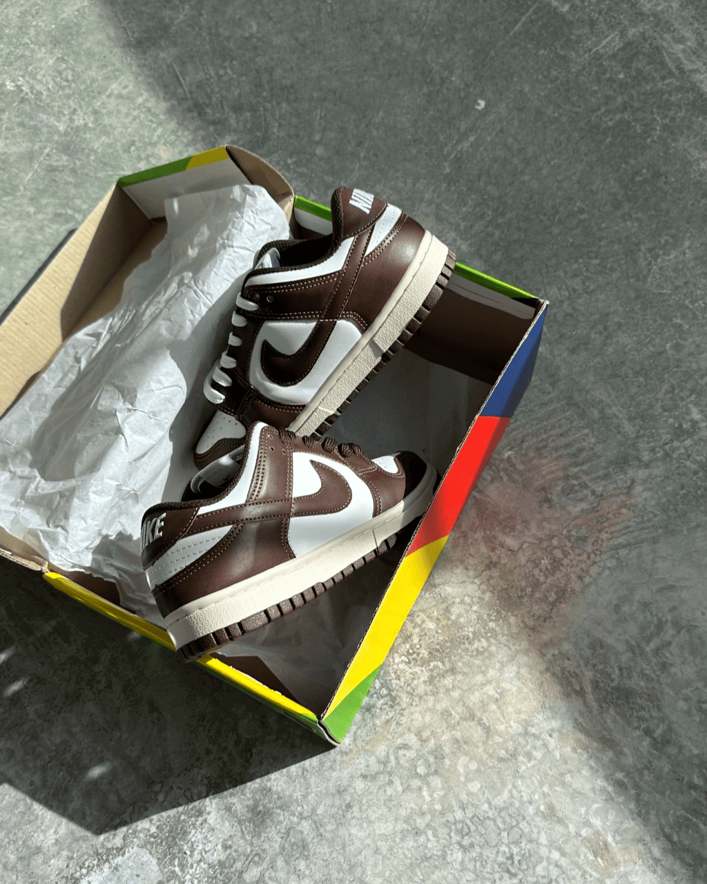 Tênis Dunk Cacau Casual